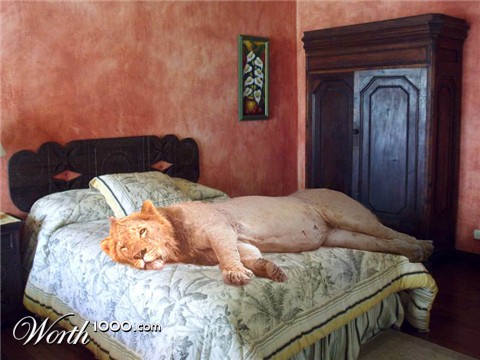 Photoshop Design by MasterDice