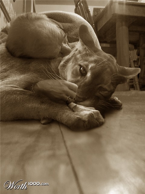 Photoshop Design by samkorni