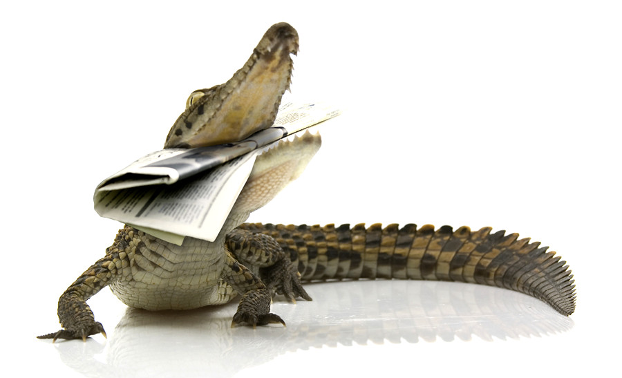 Photoshop Design by Fissunix for DesignCrowd (Community Contests) | Design #9007780