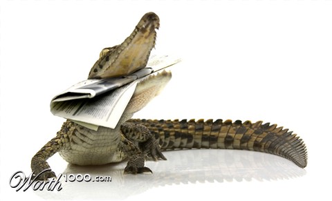 Photoshop Design by Fissunix