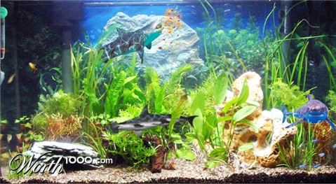 Photoshop Design by aptosjenni