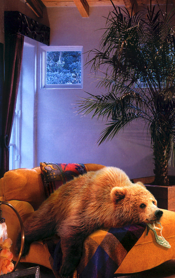 Photoshop-Design von cameon für DesignCrowd (Community Contests) | Design #9007754