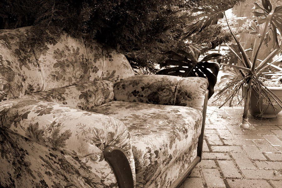 Fotografía por Inquisitive para DesignCrowd (Community Contests) | Diseño #9006545