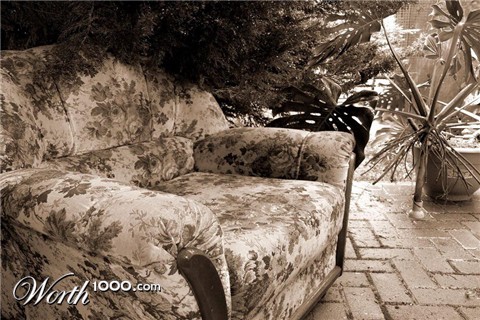 Photography by Inquisitive