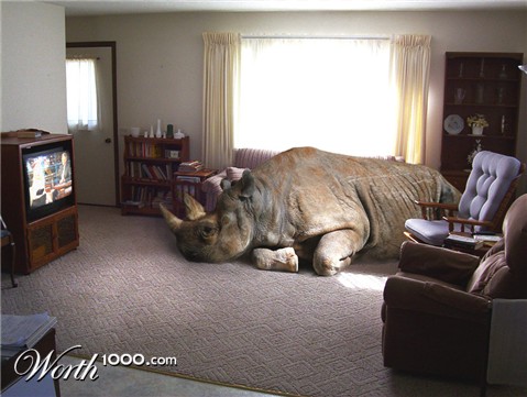 Photoshop Design by bellurius