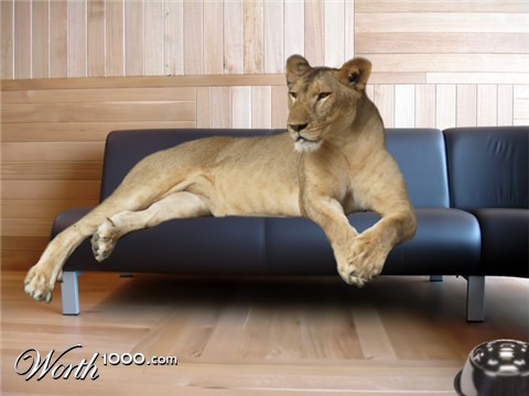 Photoshop Design by AliiXX