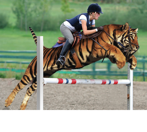 Diseño de Photoshop por D00dle para DesignCrowd (Community Contests) | Diseño #9007819