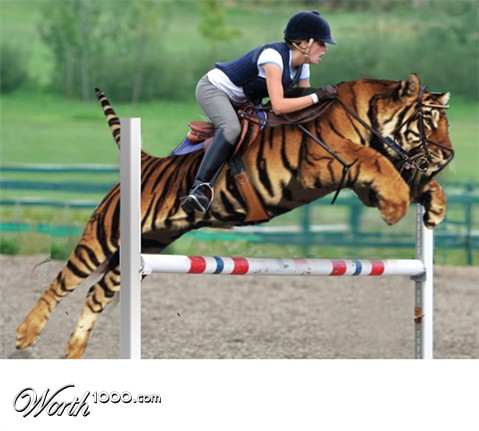 Photoshop Design by D00dle