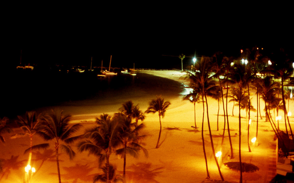 Photography by tigercrosse for DesignCrowd (Community Contests) | Design #9001040