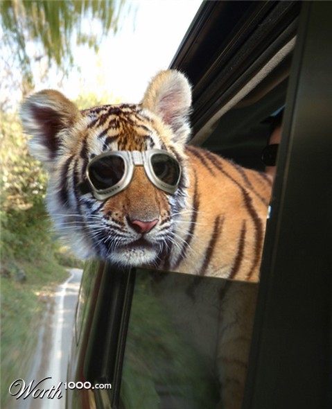 Photoshop Design by MA1947