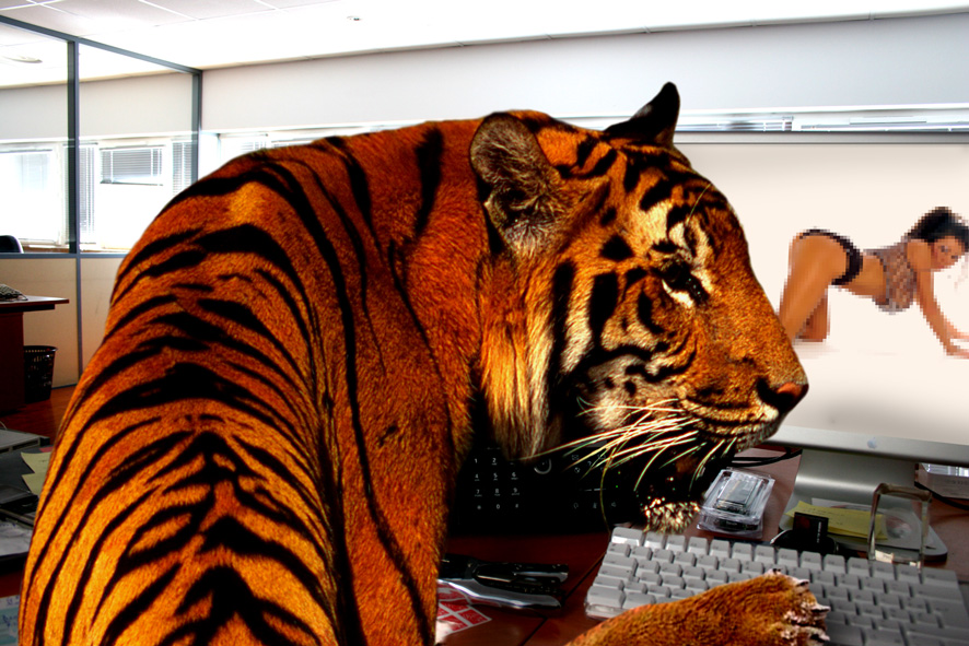 Photoshop Design by Artifakts for DesignCrowd (Community Contests) | Design #9007823