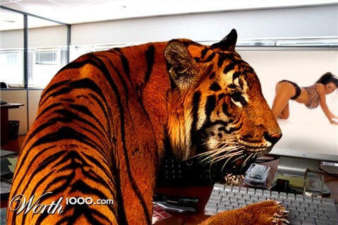 Photoshop Design by Artifakts