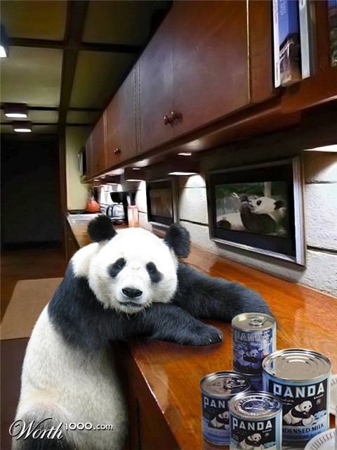 Photoshop Design by mzpresto