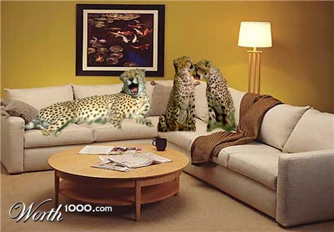 Photoshop Design by scoobyboo