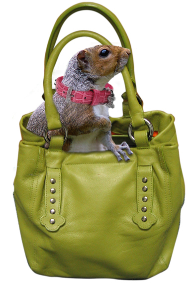 Photoshop-Design von bingobaby für DesignCrowd (Community Contests) | Design #9007799