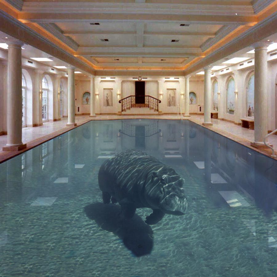 Diseño de Photoshop por Tosiisoa para DesignCrowd (Community Contests) | Diseño #9007828