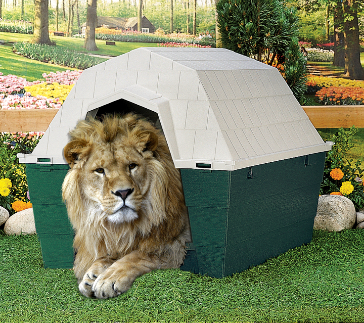 Photoshop Design by corwin1 for DesignCrowd (Community Contests) | Design #9007797