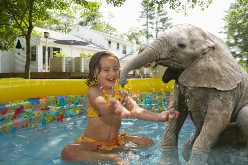 Diseño de Photoshop por Deborahb para DesignCrowd (Community Contests) | Diseño #9007871