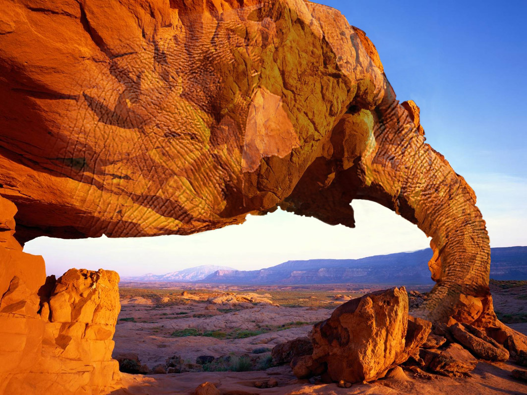 Photoshop-Design von mitchbaker für DesignCrowd (Community Contests) | Design #9005318