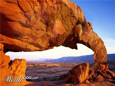 Photoshop Design by mitchbaker