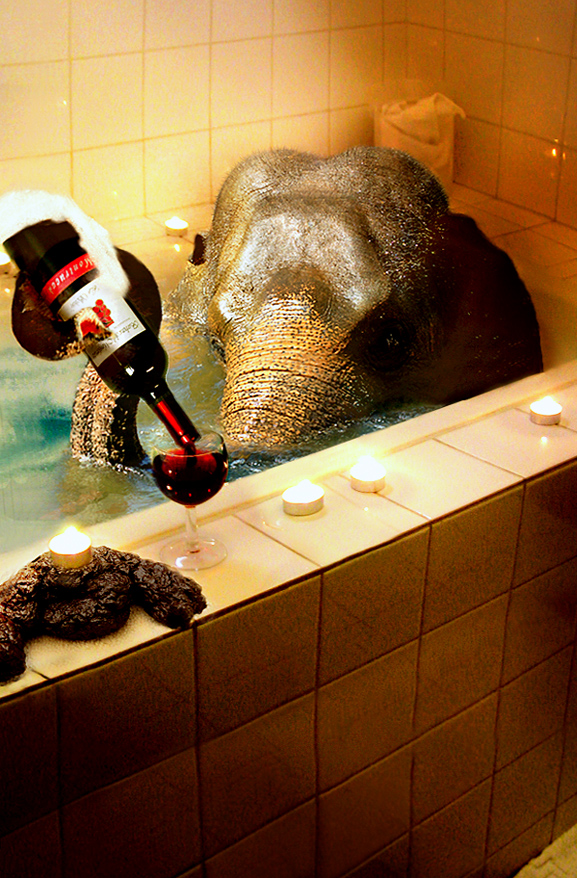 Design Photoshop par Koosricardo pour DesignCrowd (Community Contests) | Design #9007897