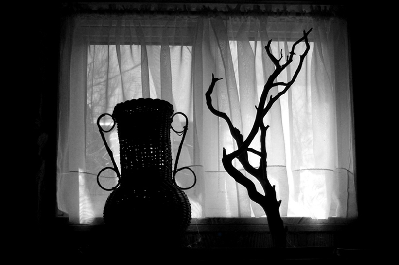 Photographie par LaylaBlue pour DesignCrowd (Community Contests) | Design #9006540