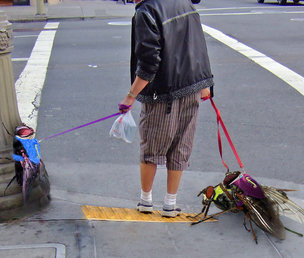 Photoshop Design by PixelDustMT for DesignCrowd (Community Contests) | Design #9007924