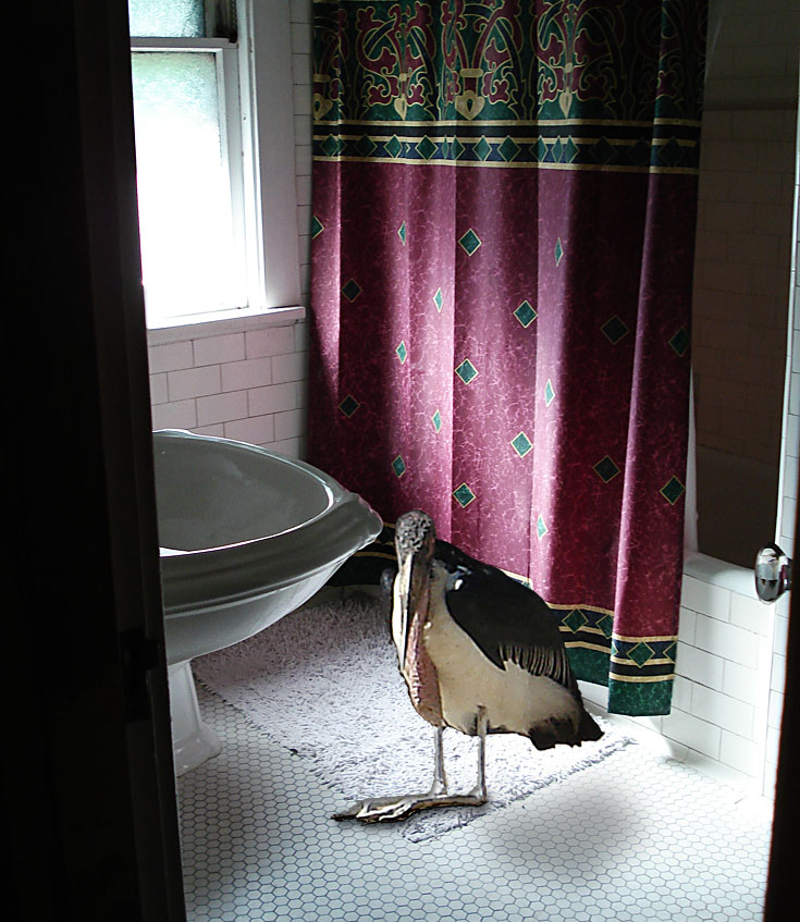 Photoshop Design by StarsView for DesignCrowd (Community Contests) | Design #9007936