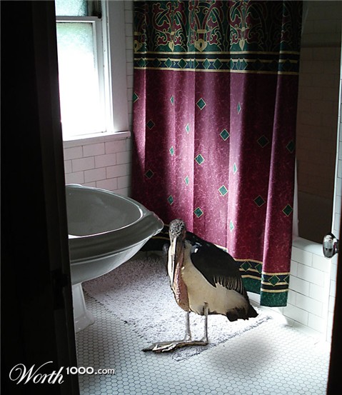 Photoshop Design by StarsView