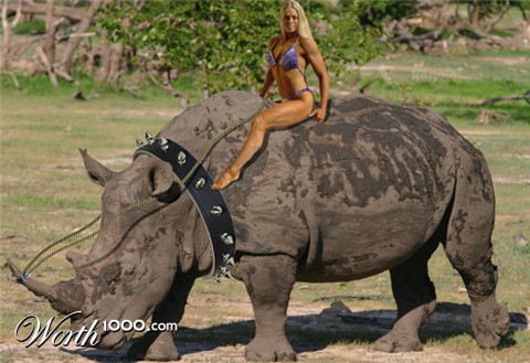 Photoshop Design by lordgilamesh