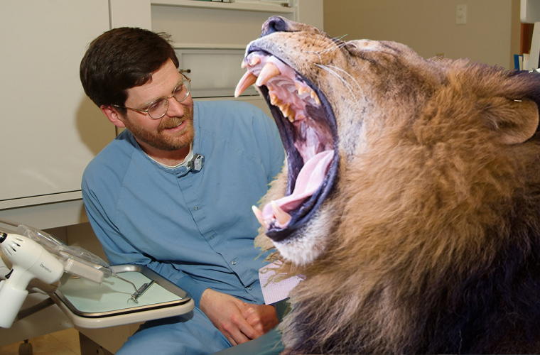 Photoshop Design by darlingmkt for DesignCrowd (Community Contests) | Design #9007933