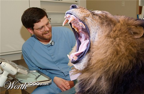 Photoshop Design by darlingmkt