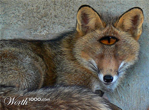 Photoshop Design by alicina