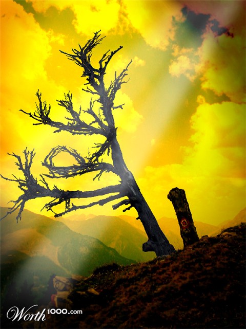 Photoshop Design by wolfndr