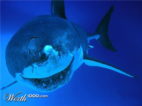 Photoshop Design by brypro63