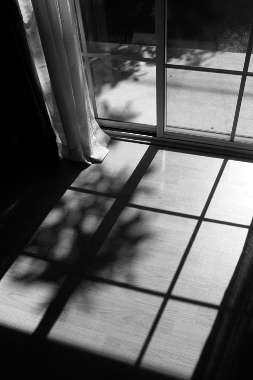 Photography by NNowack for DesignCrowd (Community Contests) | Design #9006647