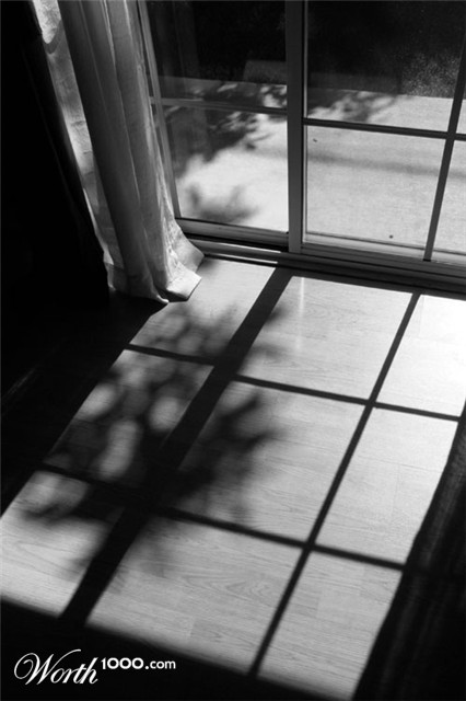 Photography by NNowack