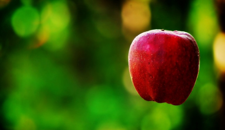 Photography by mandiferd for DesignCrowd (Community Contests) | Design #9003481