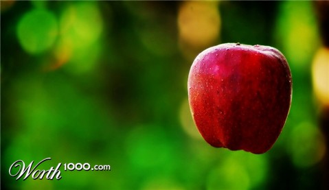 Photography by mandiferd