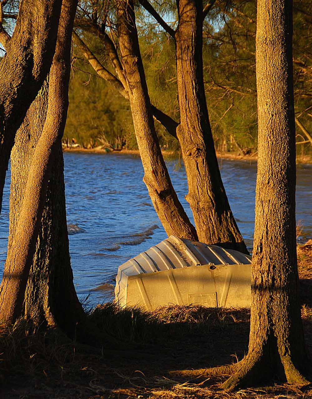 Photography by gymp93 for DesignCrowd (Community Contests) | Design #9003346