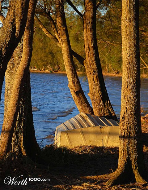 Photography by gymp93