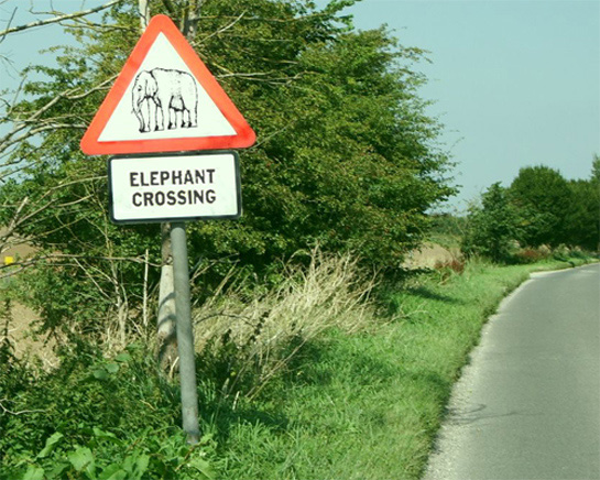 Photoshop-Design von FunkyMonks für DesignCrowd (Community Contests) | Design #9005930