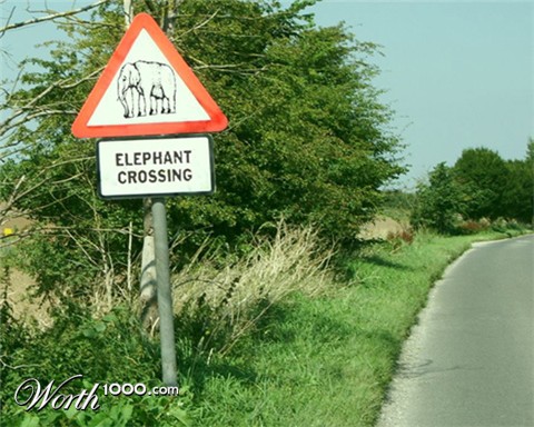 Photoshop Design by FunkyMonks