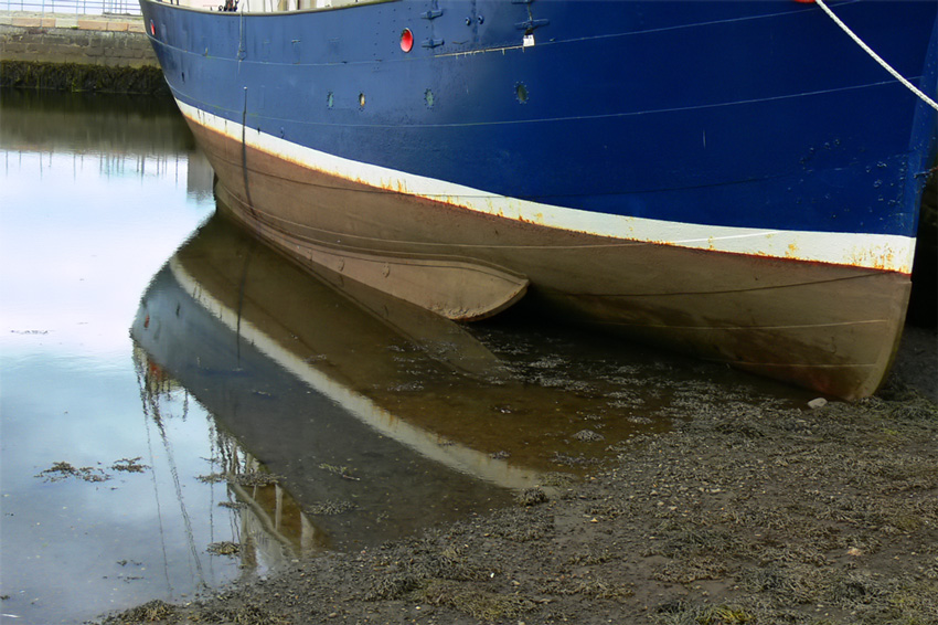 Fotografía por alicina para DesignCrowd (Community Contests) | Diseño #9003356