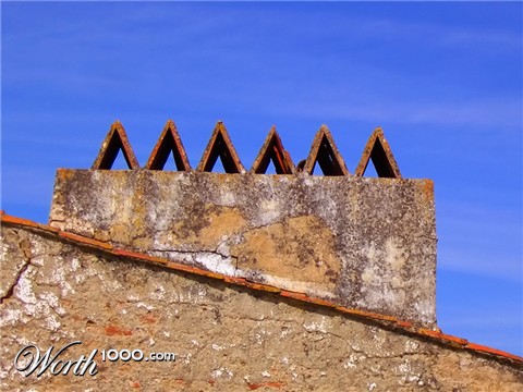 Photography by alicina