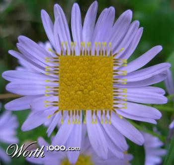 Photoshop Design by Im_refuelin