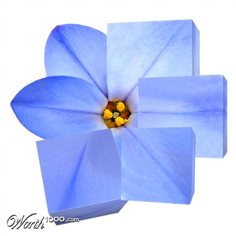 Photoshop Design by Kitiekat4U