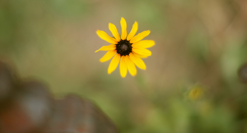 Fotografie von ChronicPest für DesignCrowd (Community Contests) | Design #9008649