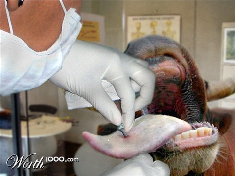 Photoshop Design by bellurius