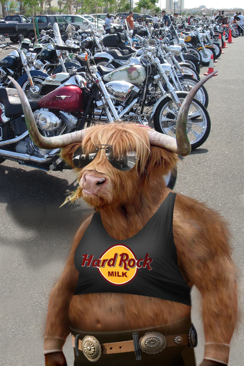 Diseño de Photoshop por fredreis para DesignCrowd (Community Contests) | Diseño #9002518